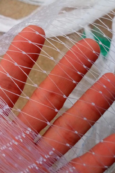 Transparent Nets